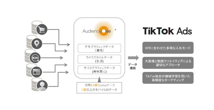 DAC TikTok ads