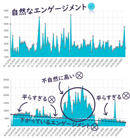 株式会社LikePay Social Auditor