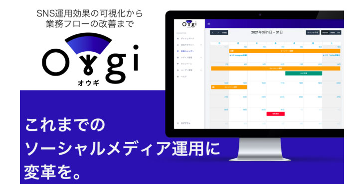 サイバー・バズ、Owgi