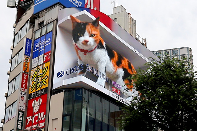 クロススペース、3D巨大猫 クロス新宿ビジョン