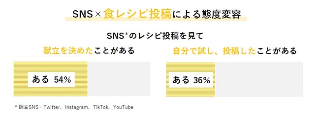 SNS×食情報の態度変容